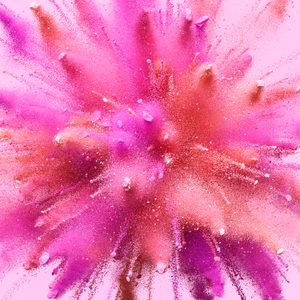 Magenta, red, And Pink Powder Burst on pink background